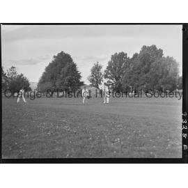 Cricket