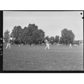 Cricket