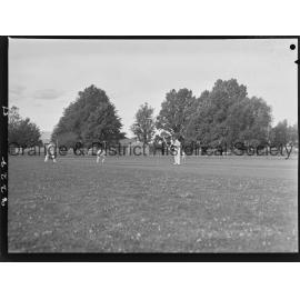 Cricket