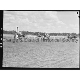 New Year's Day race meeting