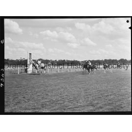 New Year's Day race meeting