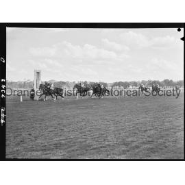 New Year's Day race meeting