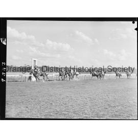 New Year's Day race meeting