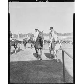 New Year's Day race meeting