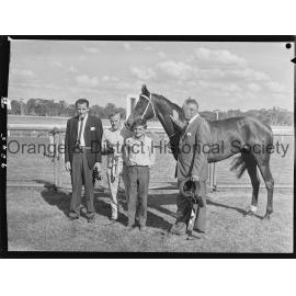 New Year's Day race meeting
