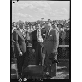 New Year's Day race meeting
