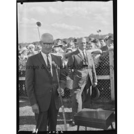 New Year's Day race meeting