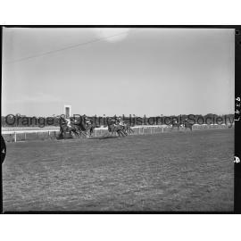 New Year's Day race meeting