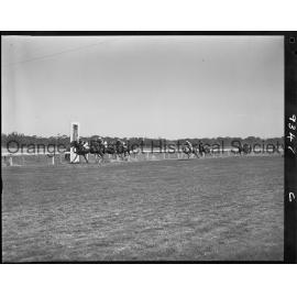 New Year's Day race meeting