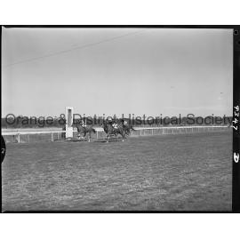 New Year's Day race meeting