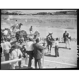 Trotting Club race finishes and returning to scale