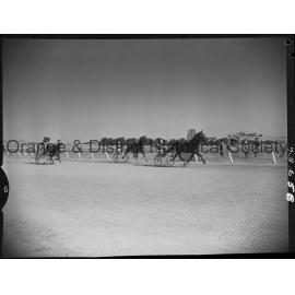 Trotting Club race finishes and returning to scale