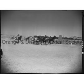 Trotting Club race finishes and returning to scale