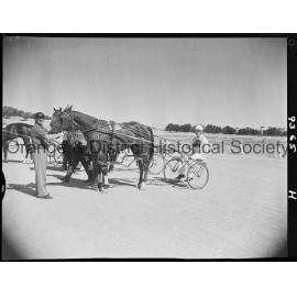 Trotting Club race finishes and returning to scale