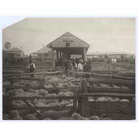 Saleyards