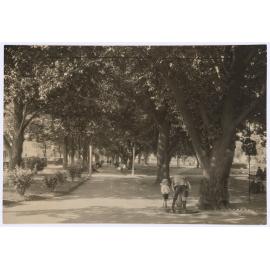 Robertson Park, Orange