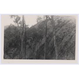 Rock formations around Mount Canobolas Orange
