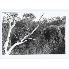 Mount Canobolas