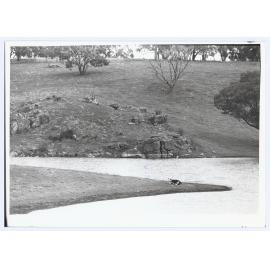 Lake Loopholes Lidster