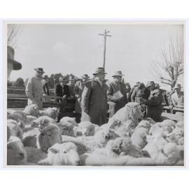 Orange Saleyards
