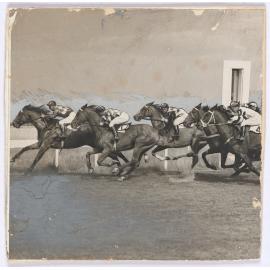 Horse race