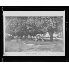 The Elm Avenue, Robertson Park, Orange