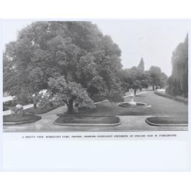 A Pretty View, Robertson Park, Orange, Showing Excellent Specimens of English Elm in the Foreground