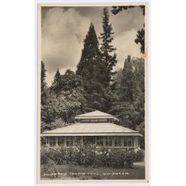 Begonia House, Cook Park, Orange
