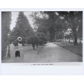 A Shady Walk, Cook Park, Orange