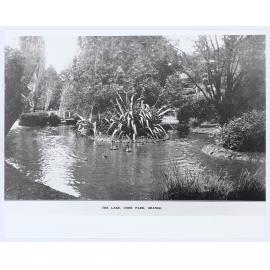 The Lake, Cook Park, Orange