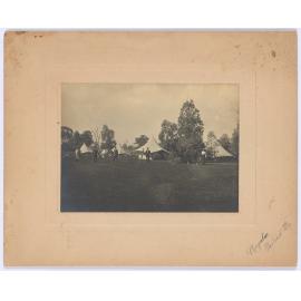 Surveyor Alfred Stephen