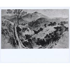Ophir, Summer Hill Creek