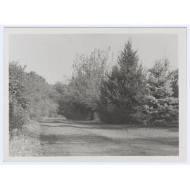 Rural scene