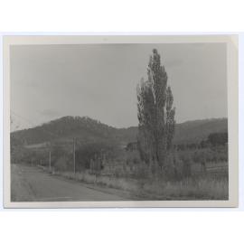 Mount Canobolas foothills