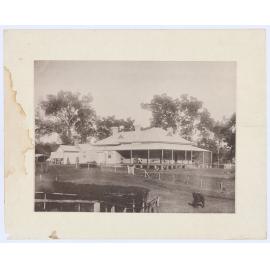 Homestead