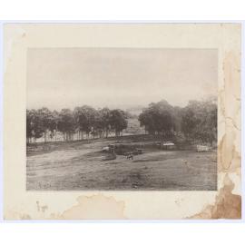 Rural scene