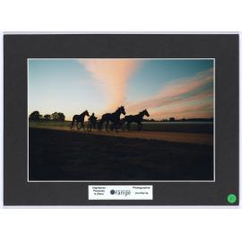 Highlands Paceway, 6.20am