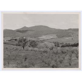 Canobolas Mountain slopes, Orange