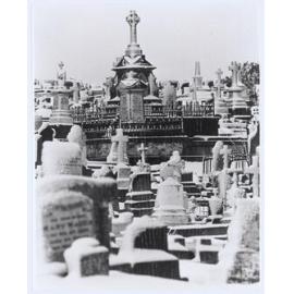 Orange Cemetery