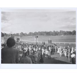 Towac Park Racecourse