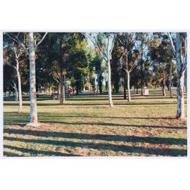 Elephant Park, Orange