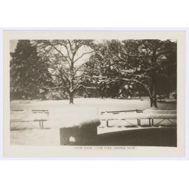 Snow scene, Cook Park, Orange