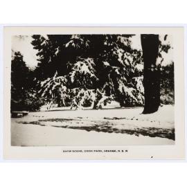 Snow Scene, Cook Park, Orange