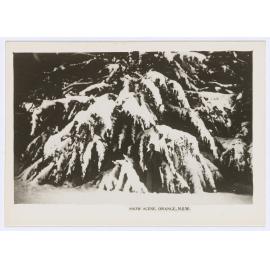 Snow Scene, Orange, NSW