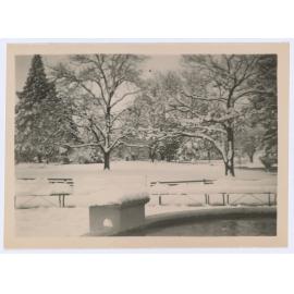 Snow Scene, Cook Park Fountain
