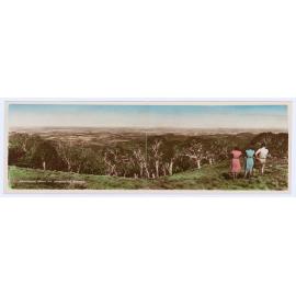 Panorama from Mount Canobolas, Orange