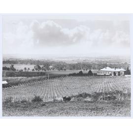 Bird's Eye View of Orange (from T Hawkes' Orchard)