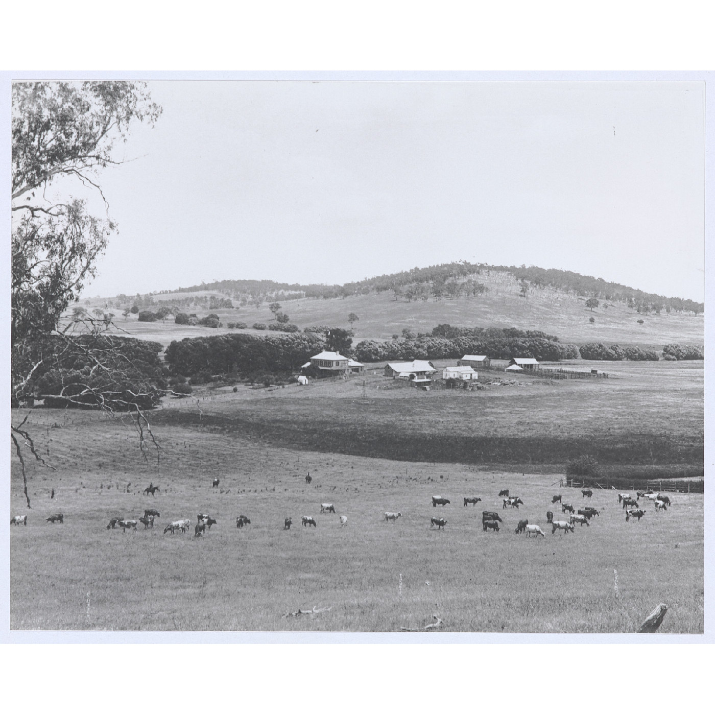 Wellwood near Orange