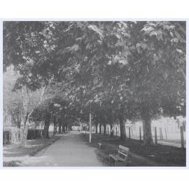 The Avenue, Robertson Park