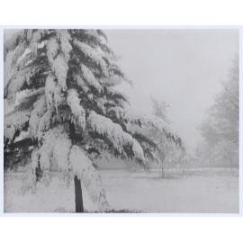 Snow Scene, Cook Park